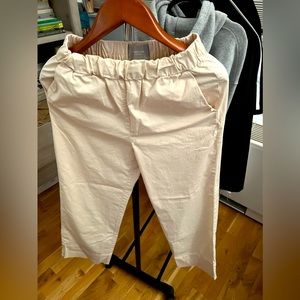 Everlane “Easy Pant” size 6. Gently worn. Excellent condition